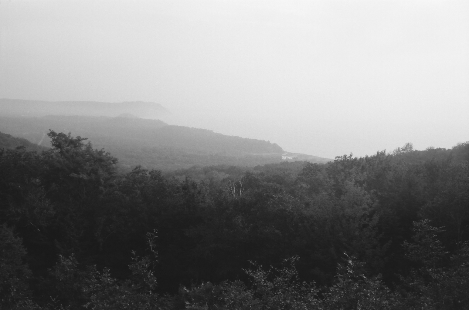08_BRYANELKUS_590868