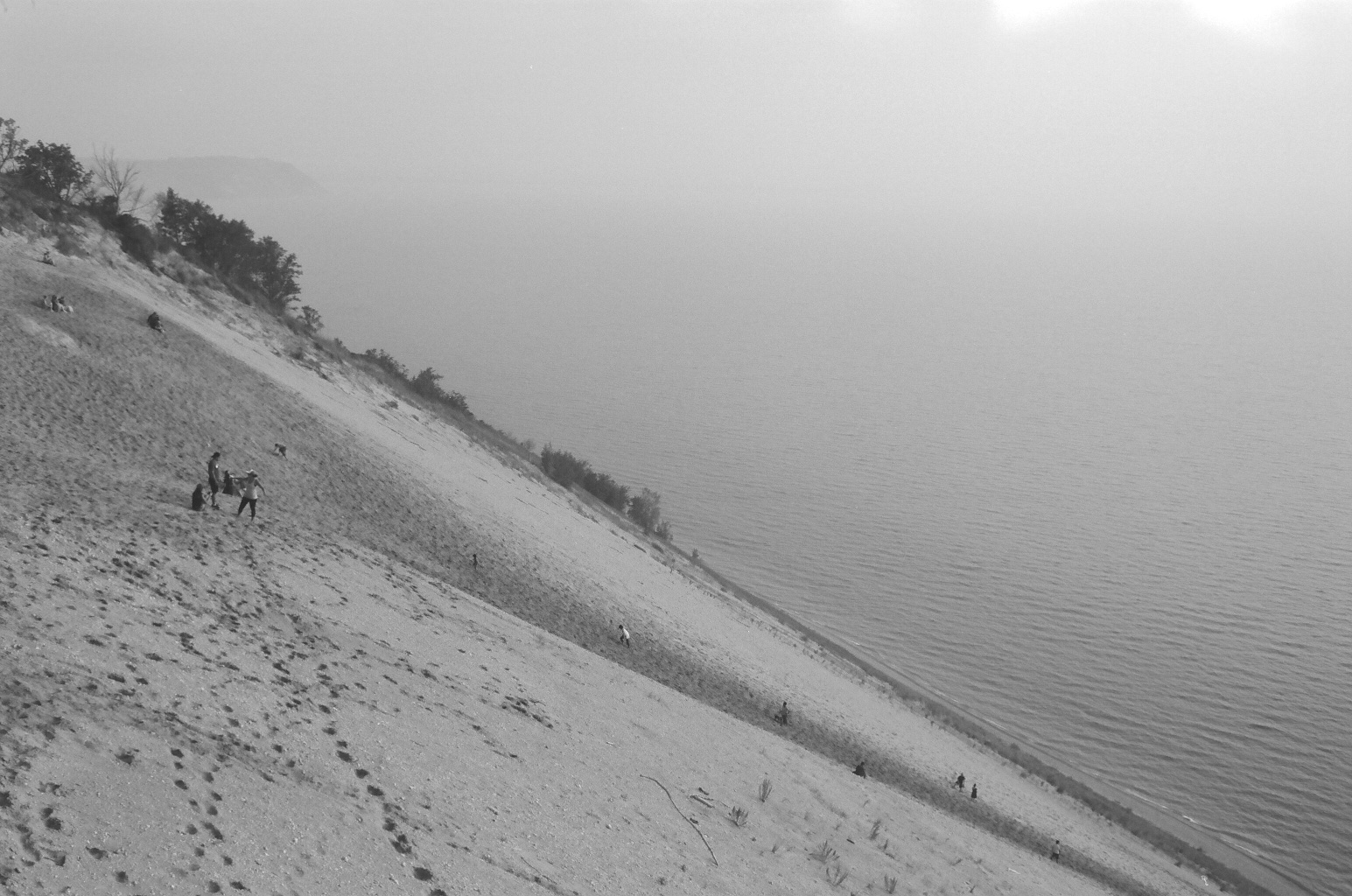 10_BRYANELKUS_590869