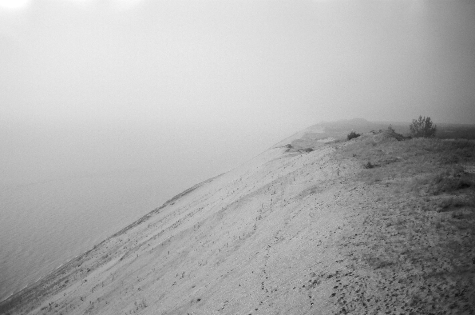 11_BRYANELKUS_590870