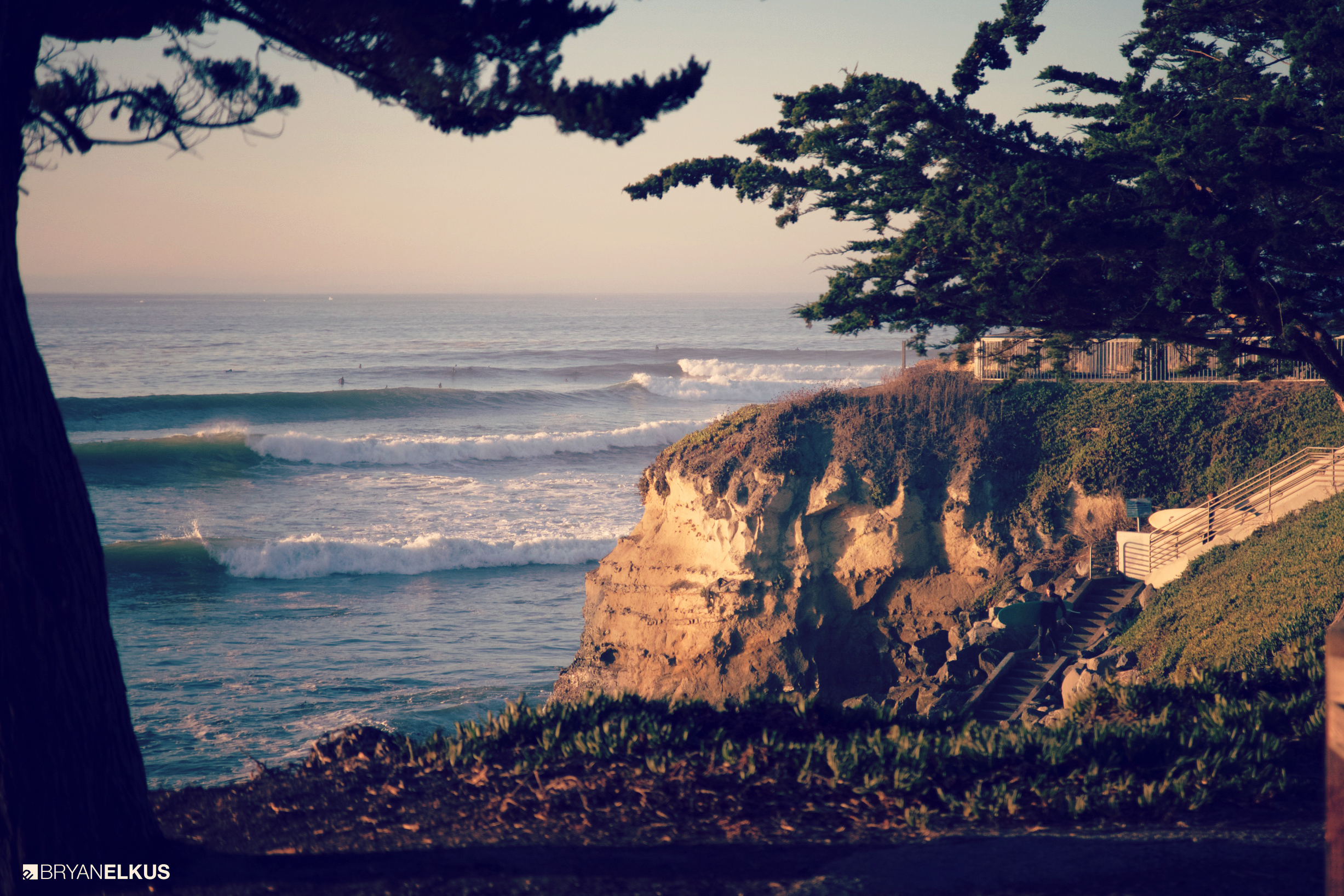 BRYANELKUS_SantaCruz_16