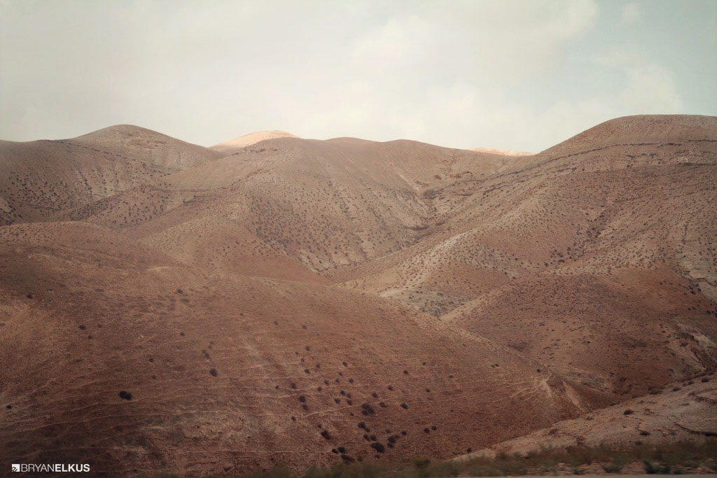 01_BRYANELKUS_540271