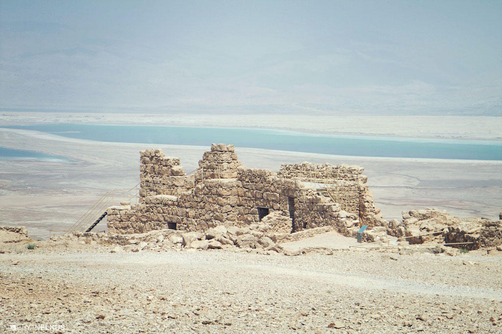 23_BRYANELKUS_540552
