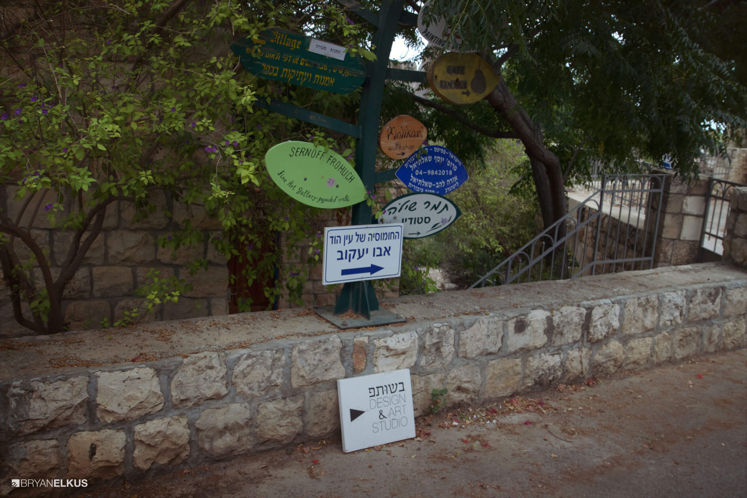 24_BRYANELKUS_544106