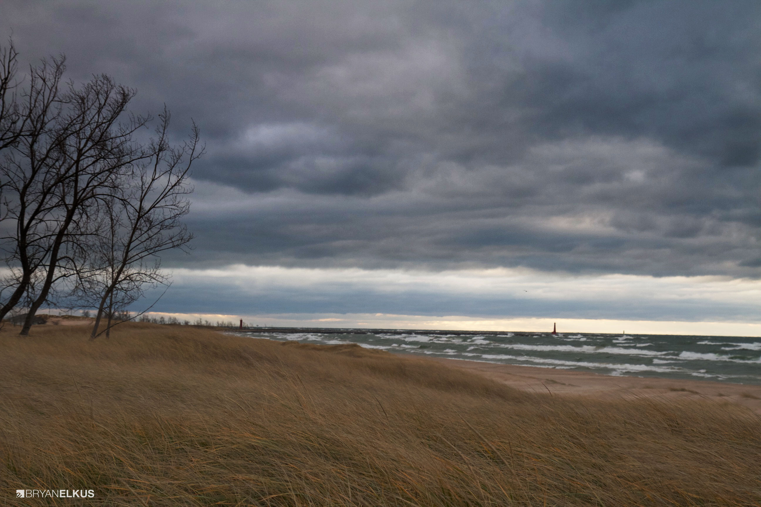 BRYANELKUS_597734