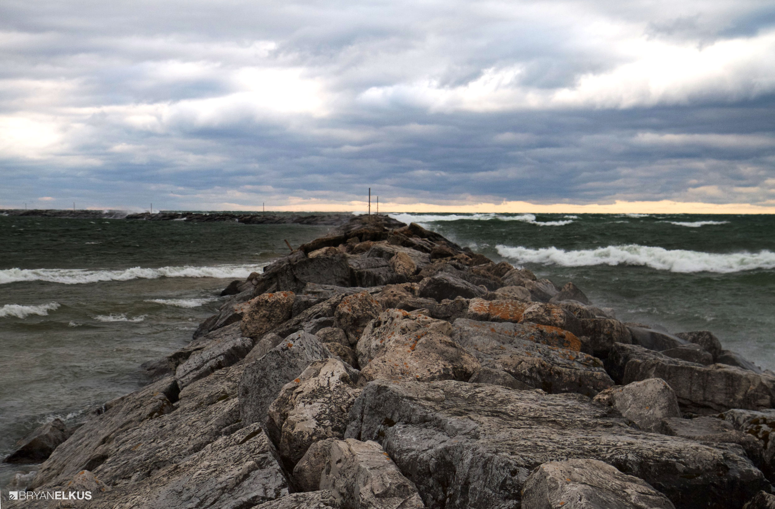 BRYANELKUS_597833