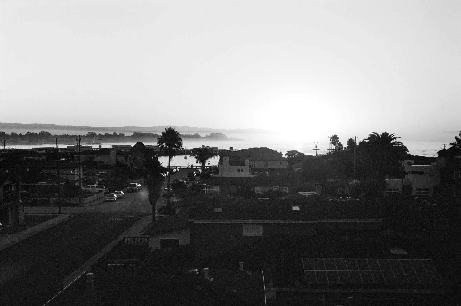 BRYANELKUS_40190012
