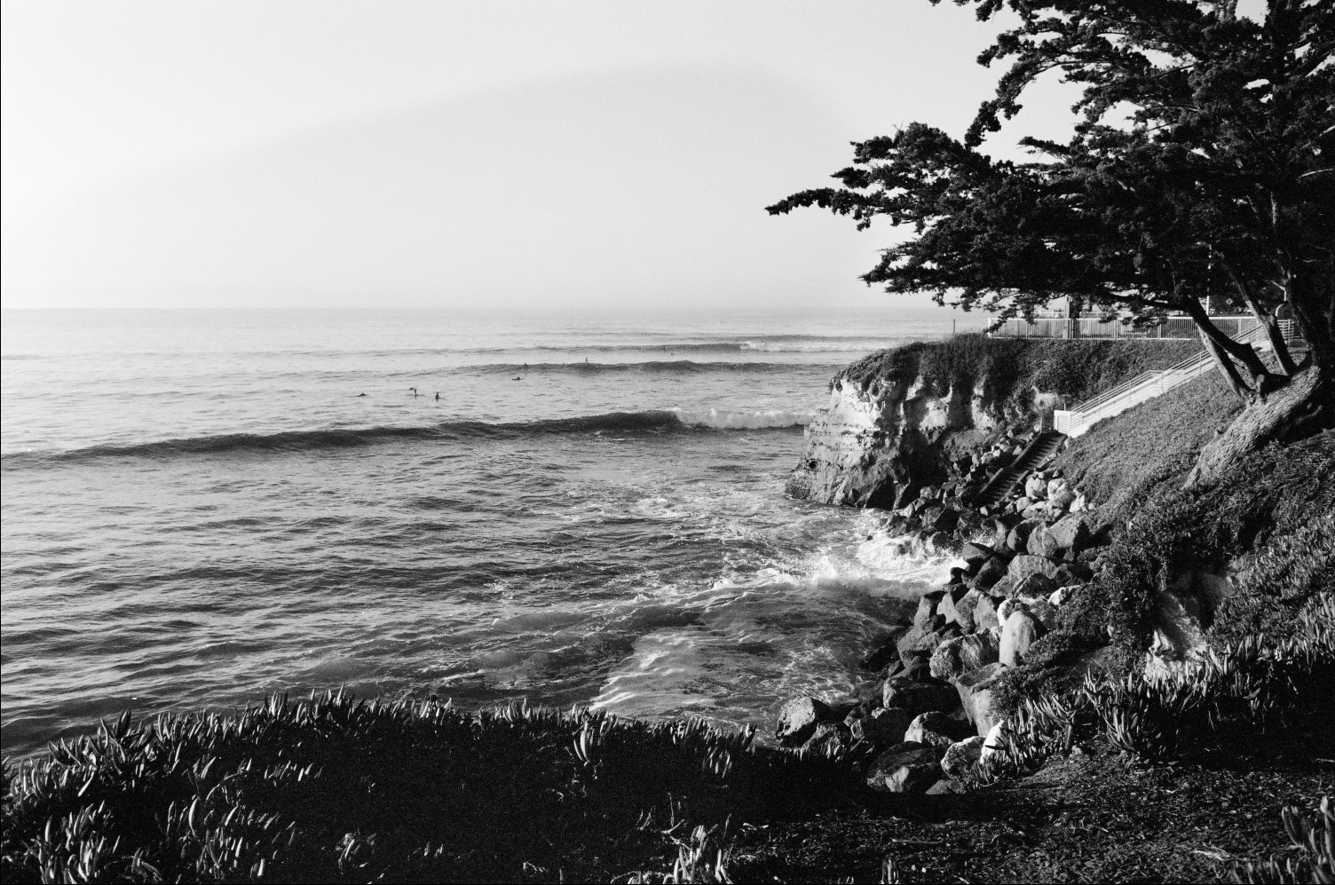 BRYANELKUS_40190015