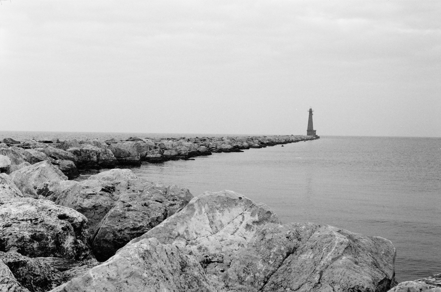 BRYANELKUS_40190030