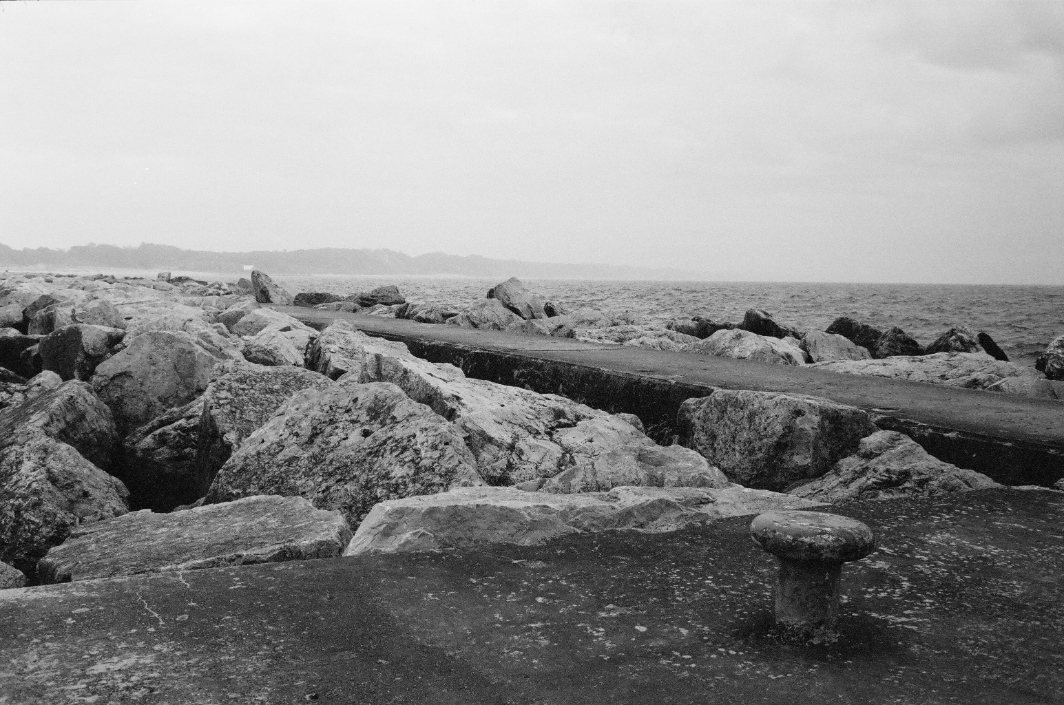 BRYANELKUS_40190031