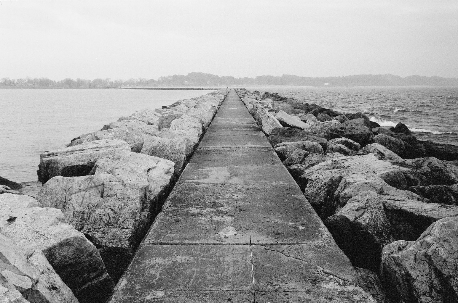 BRYANELKUS_40190032