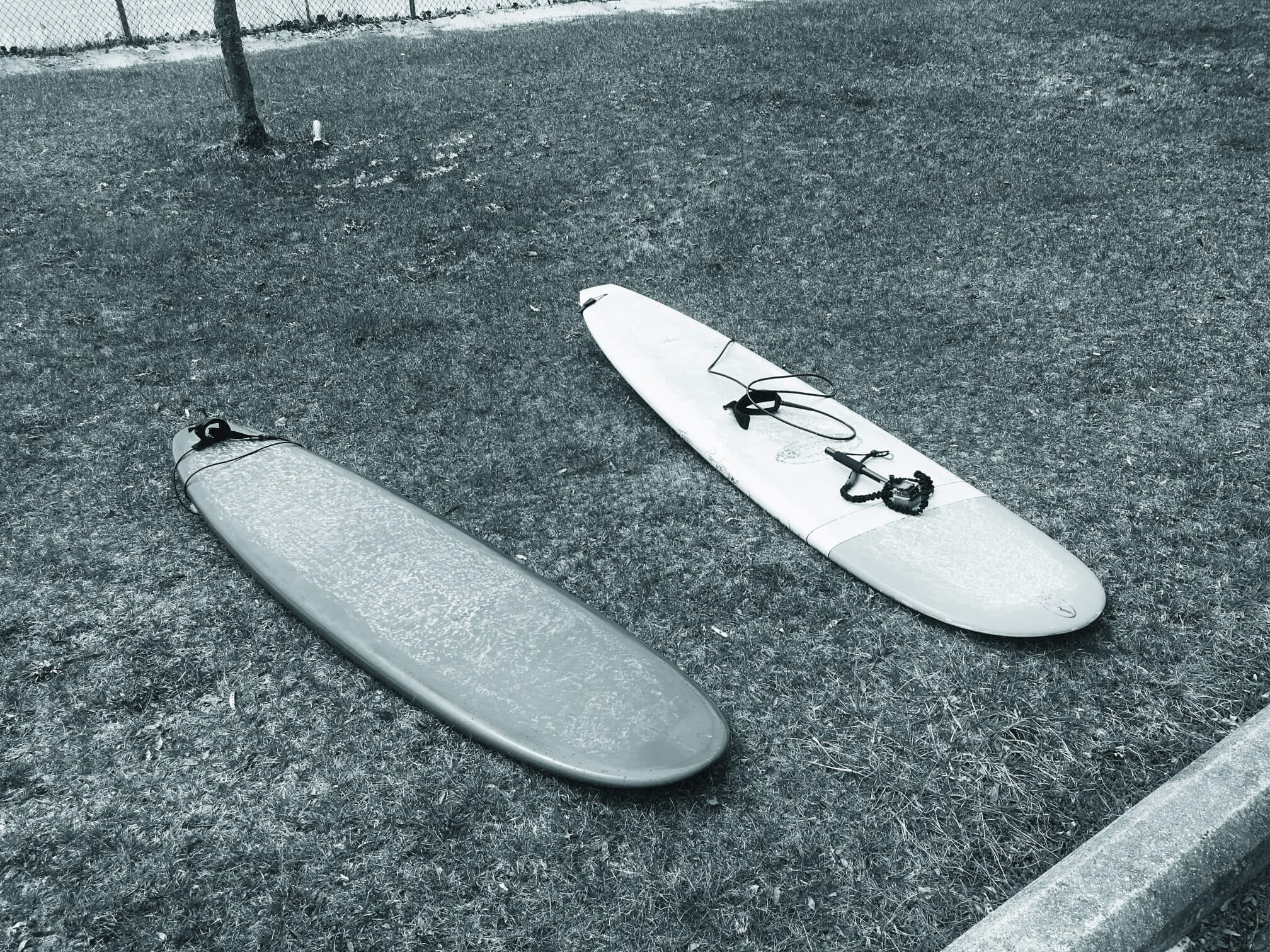 03_IMG_6690