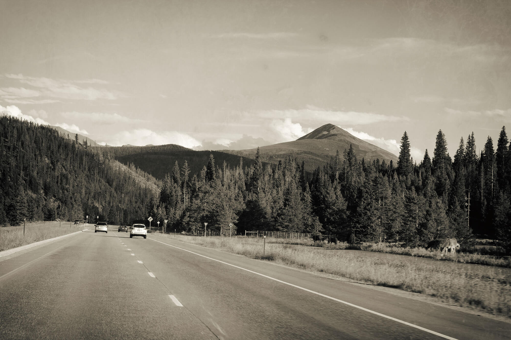 02_BRYANELKUS_628200