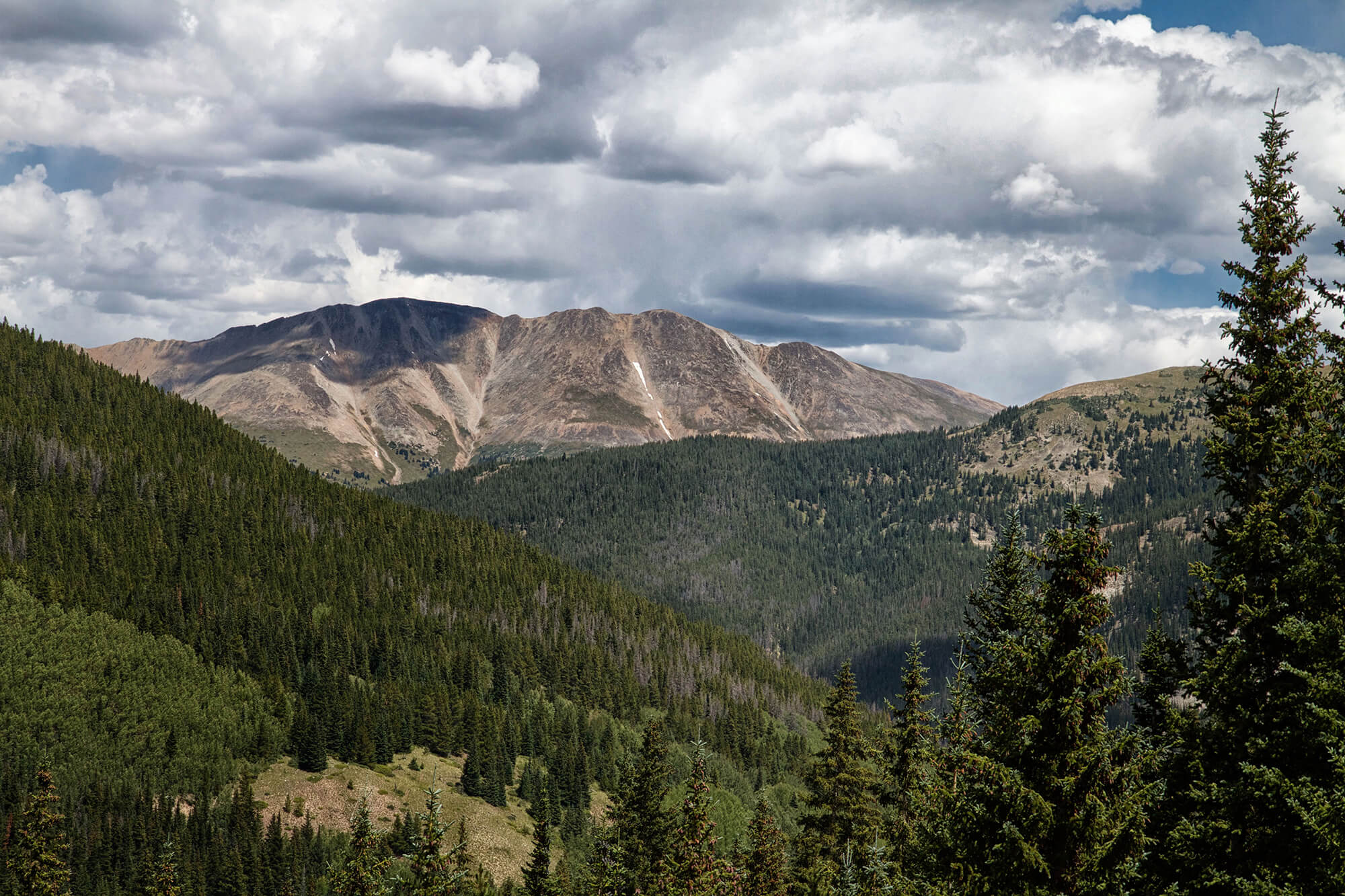 06_BRYANELKUS_628426