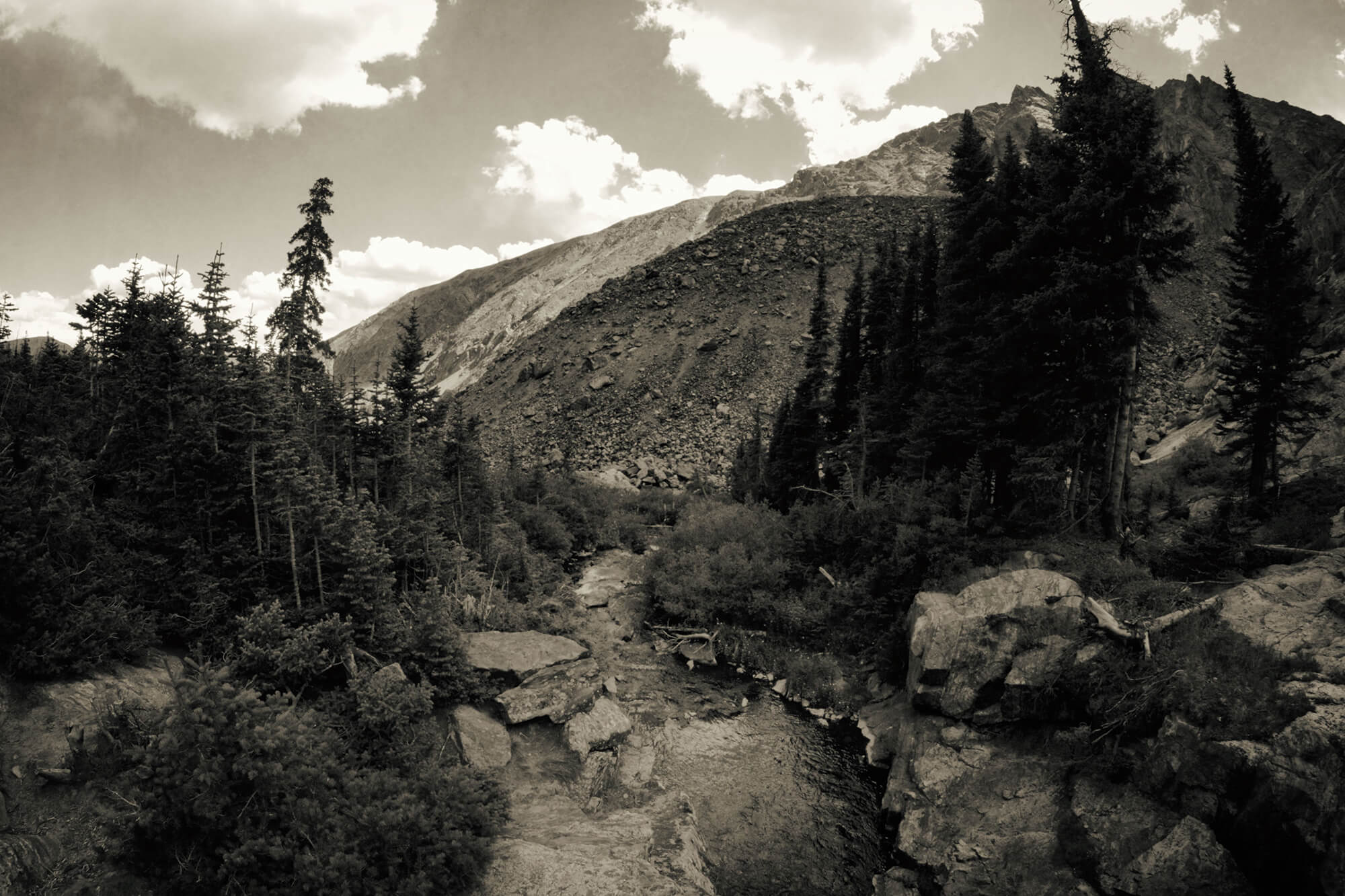 13_BRYANELKUS_628502