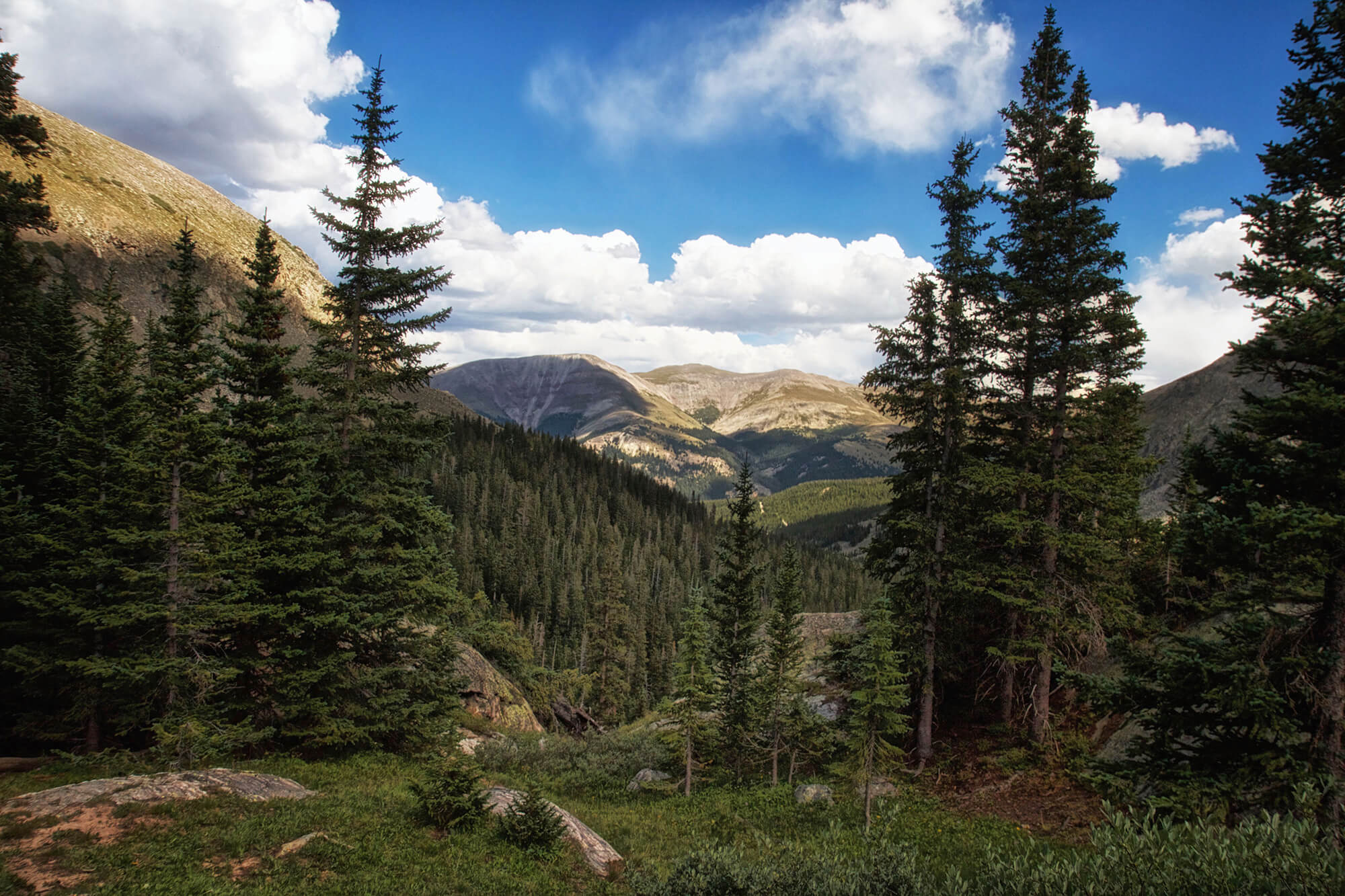15_BRYANELKUS_628619