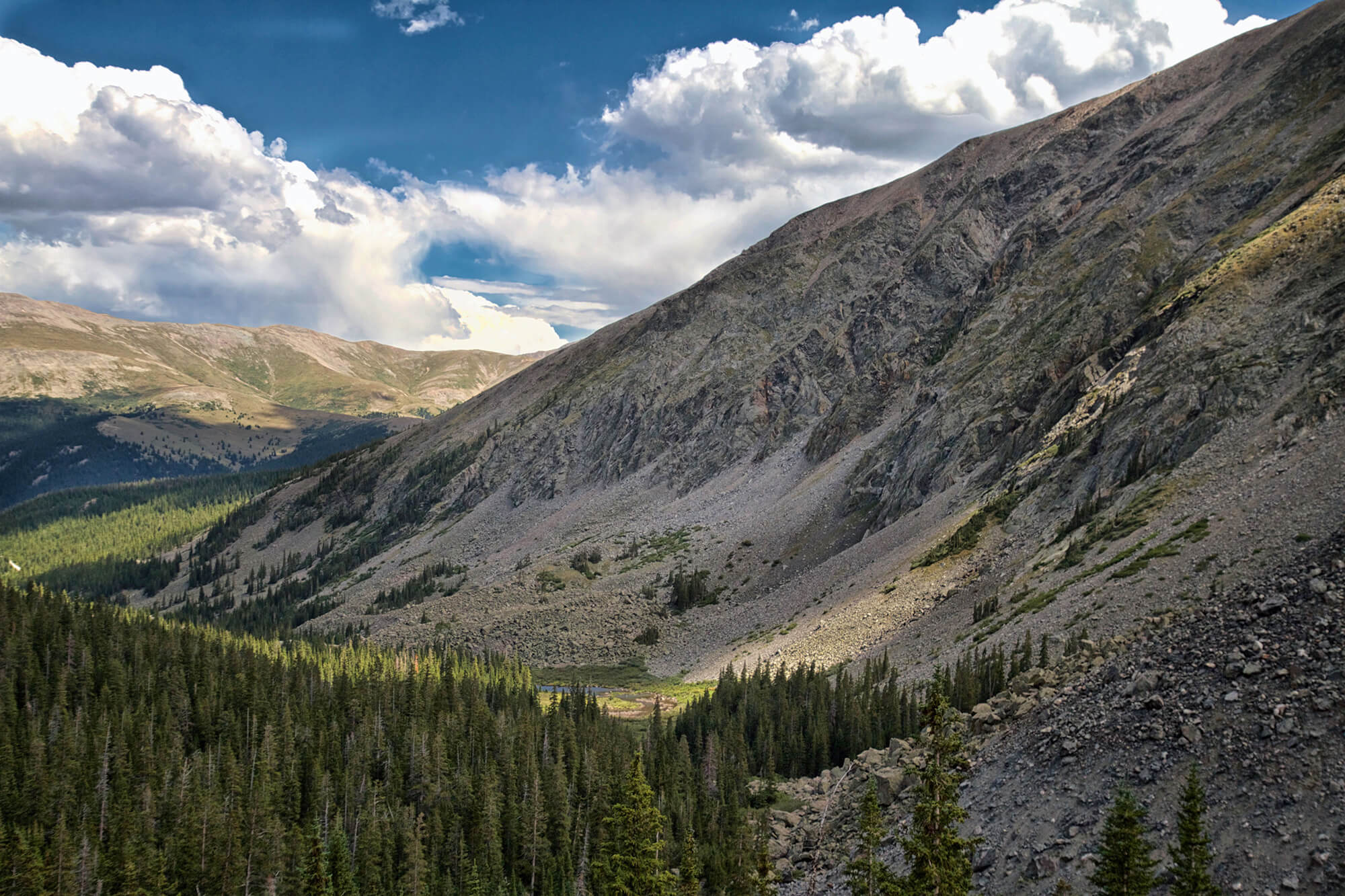 16_BRYANELKUS_628612