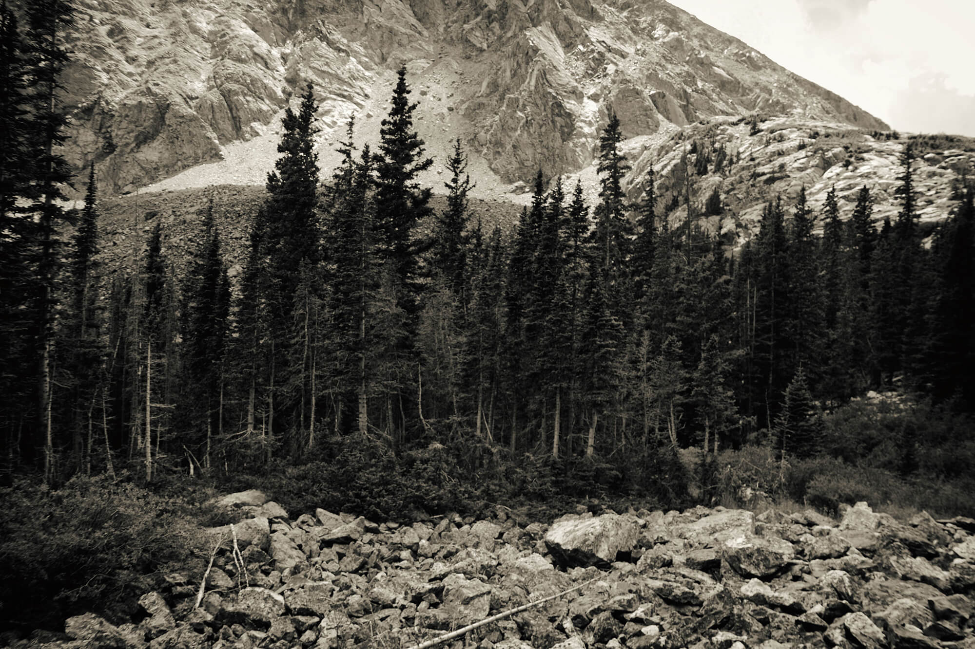 18_BRYANELKUS_628477