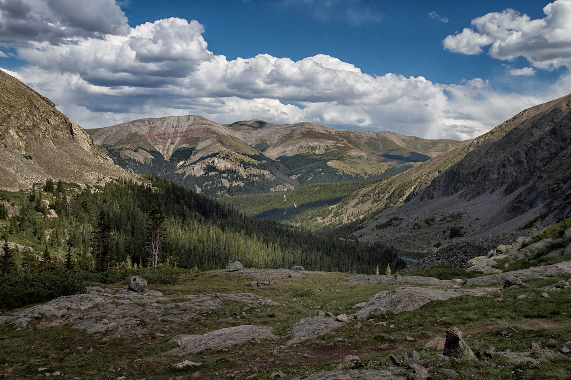 21_BRYANELKUS_628654