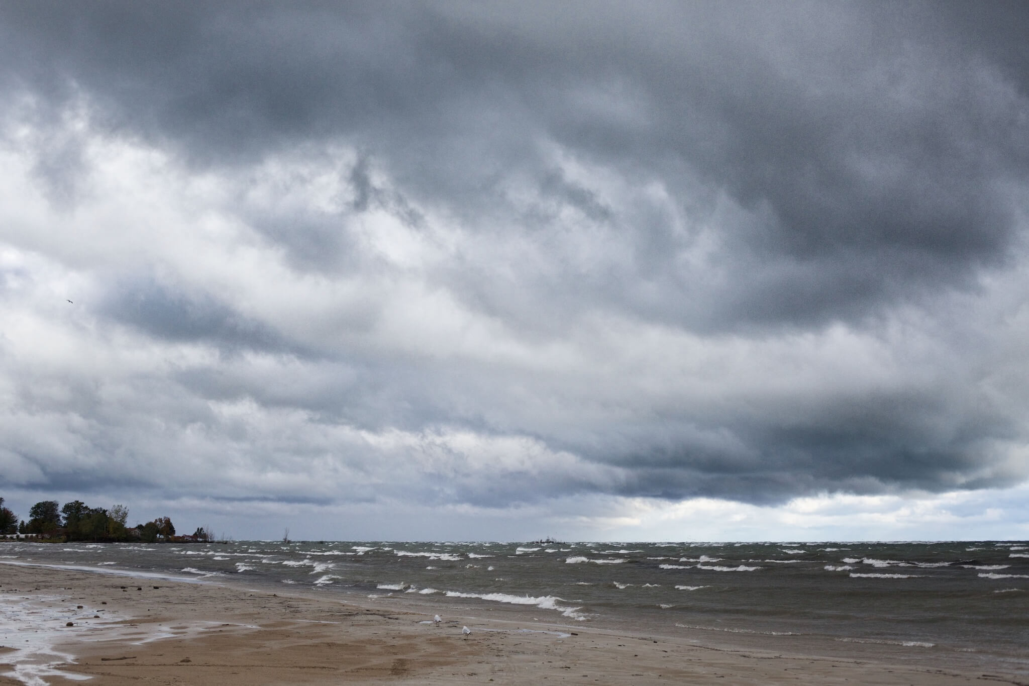 02_bryanelkus_635507