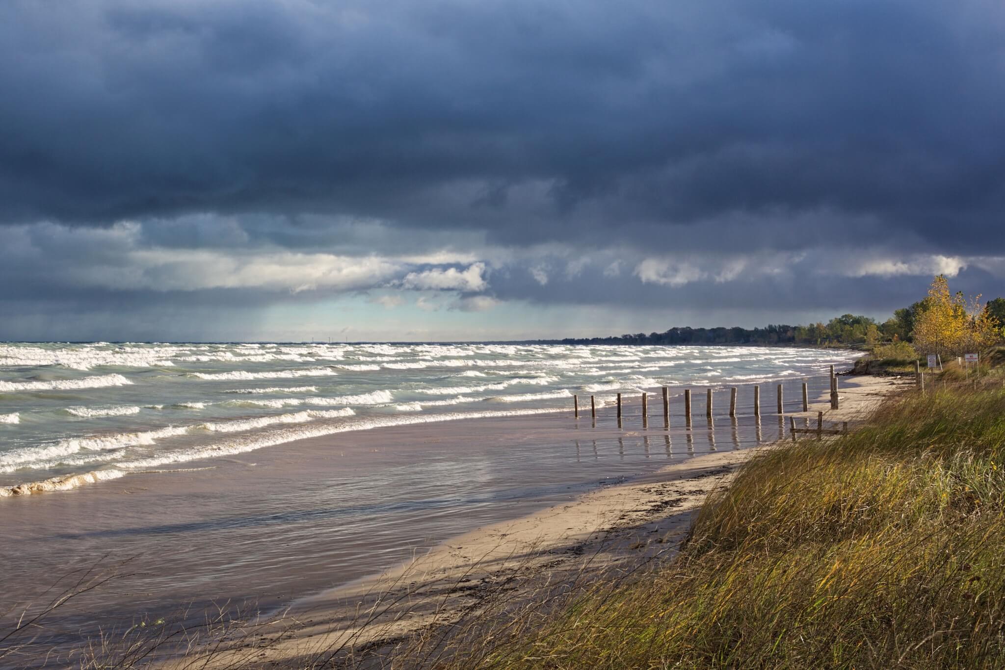 06_bryanelkus_635412