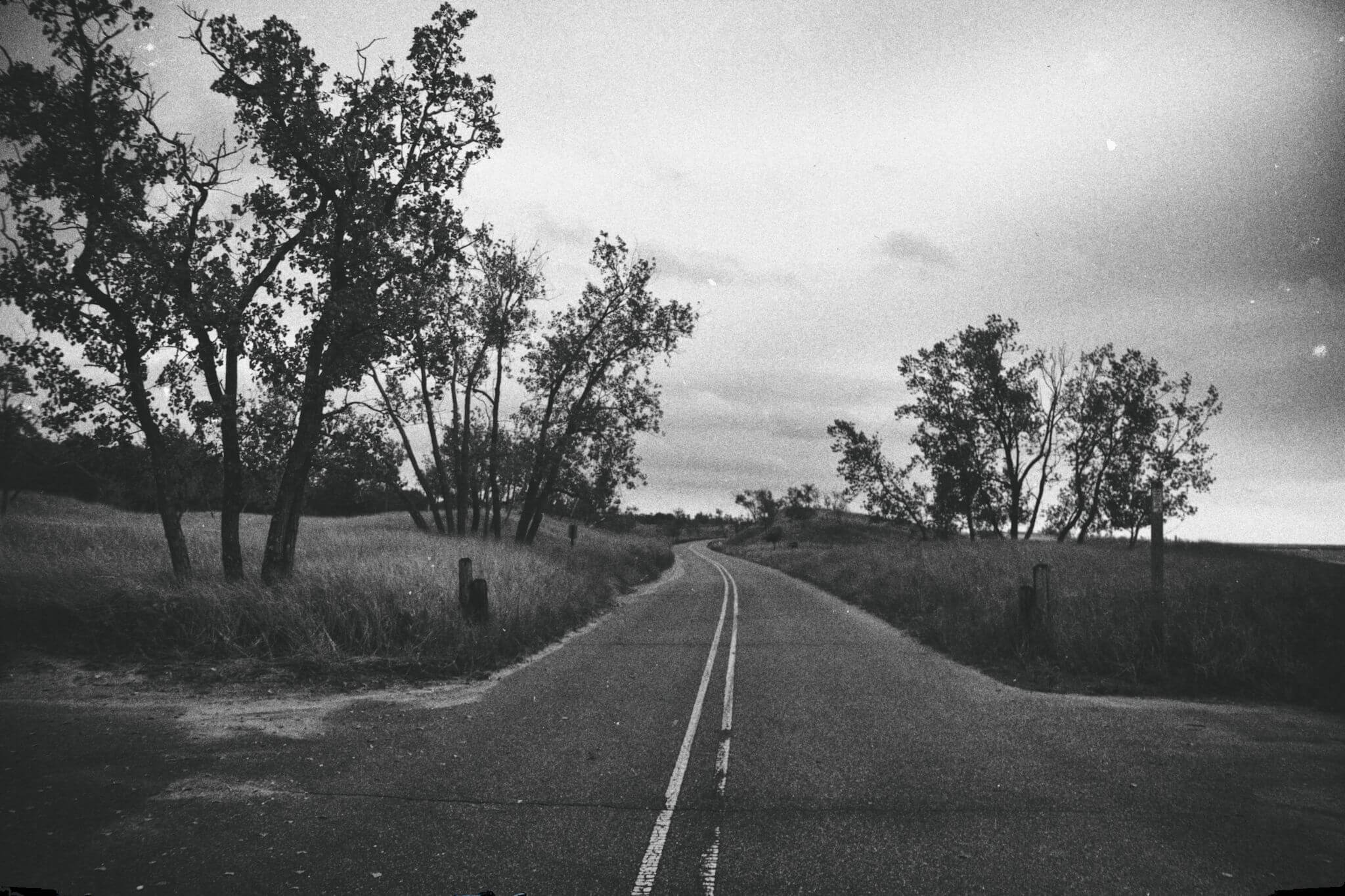 bryanelkus_631062
