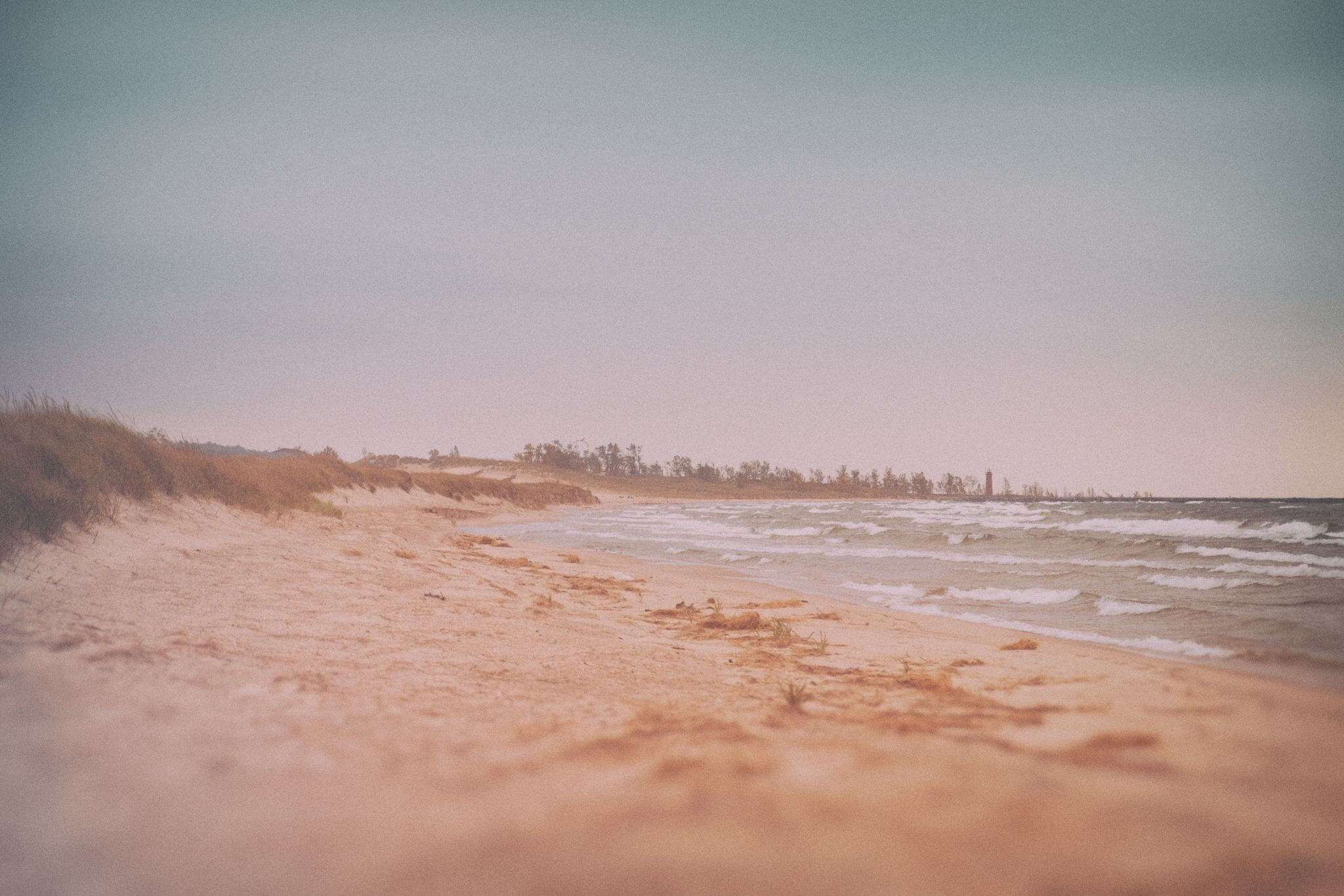 bryanelkus_631076