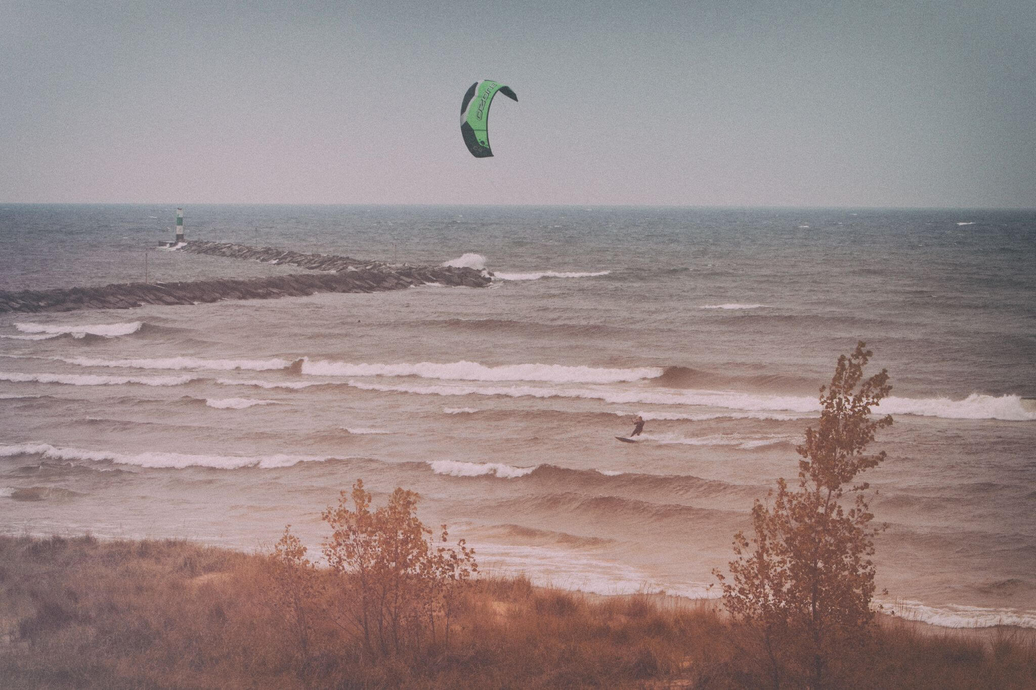 bryanelkus_631117