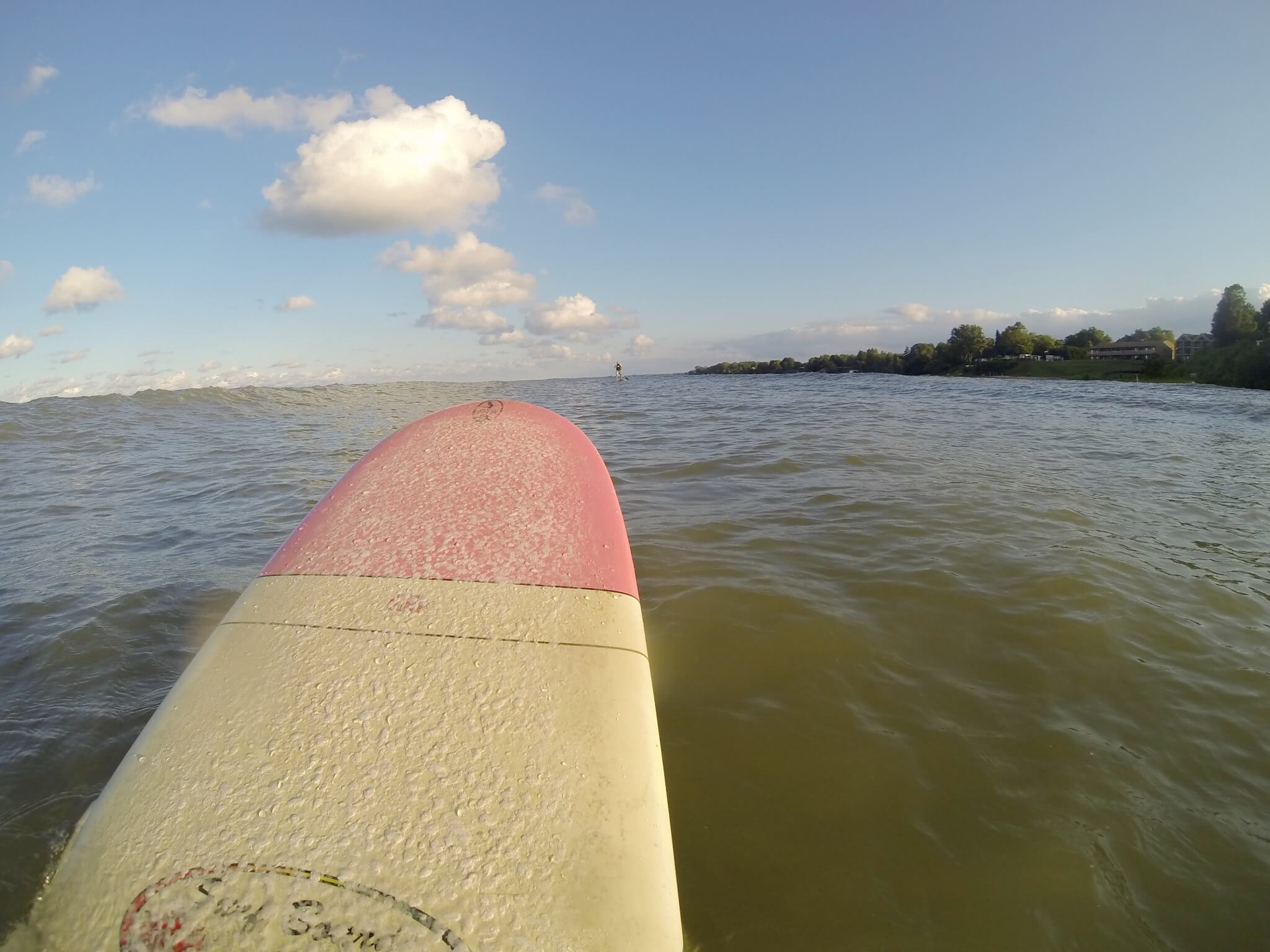 BRYANELKUS_670447