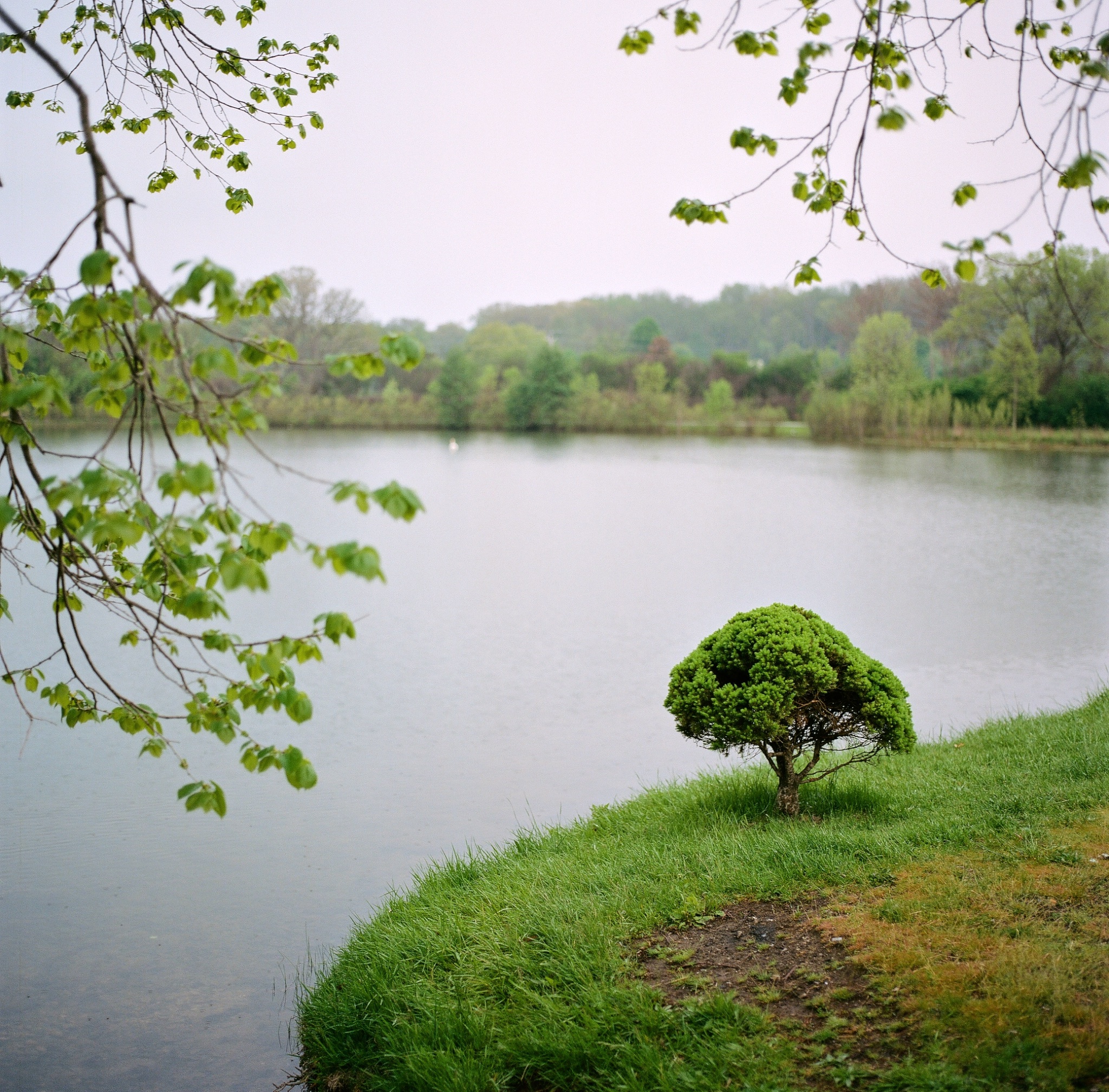 BRYANELKUS_707676